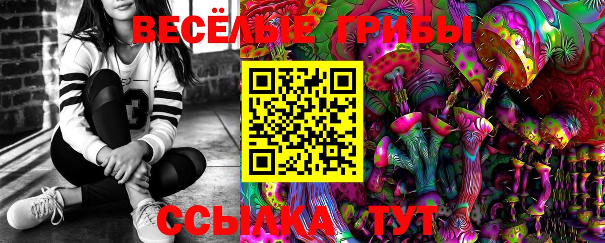 Кудымкар  Галлюциногенные грибы Magic Shrooms  Вход с VPN 